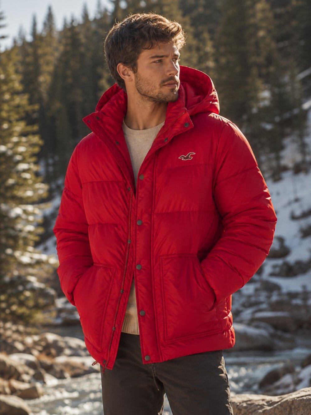Hollister Redondo Red Down Puffer Jacket Men Large Hooded Winter Coat